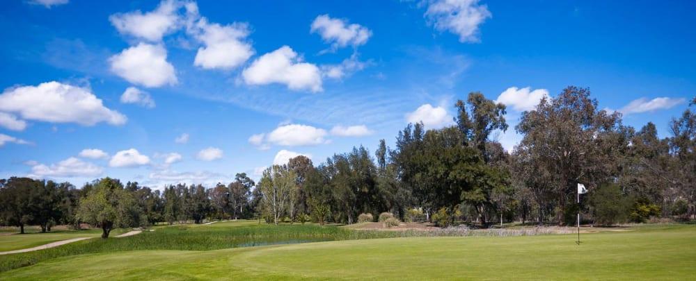 Golf course - Penina Academy Course